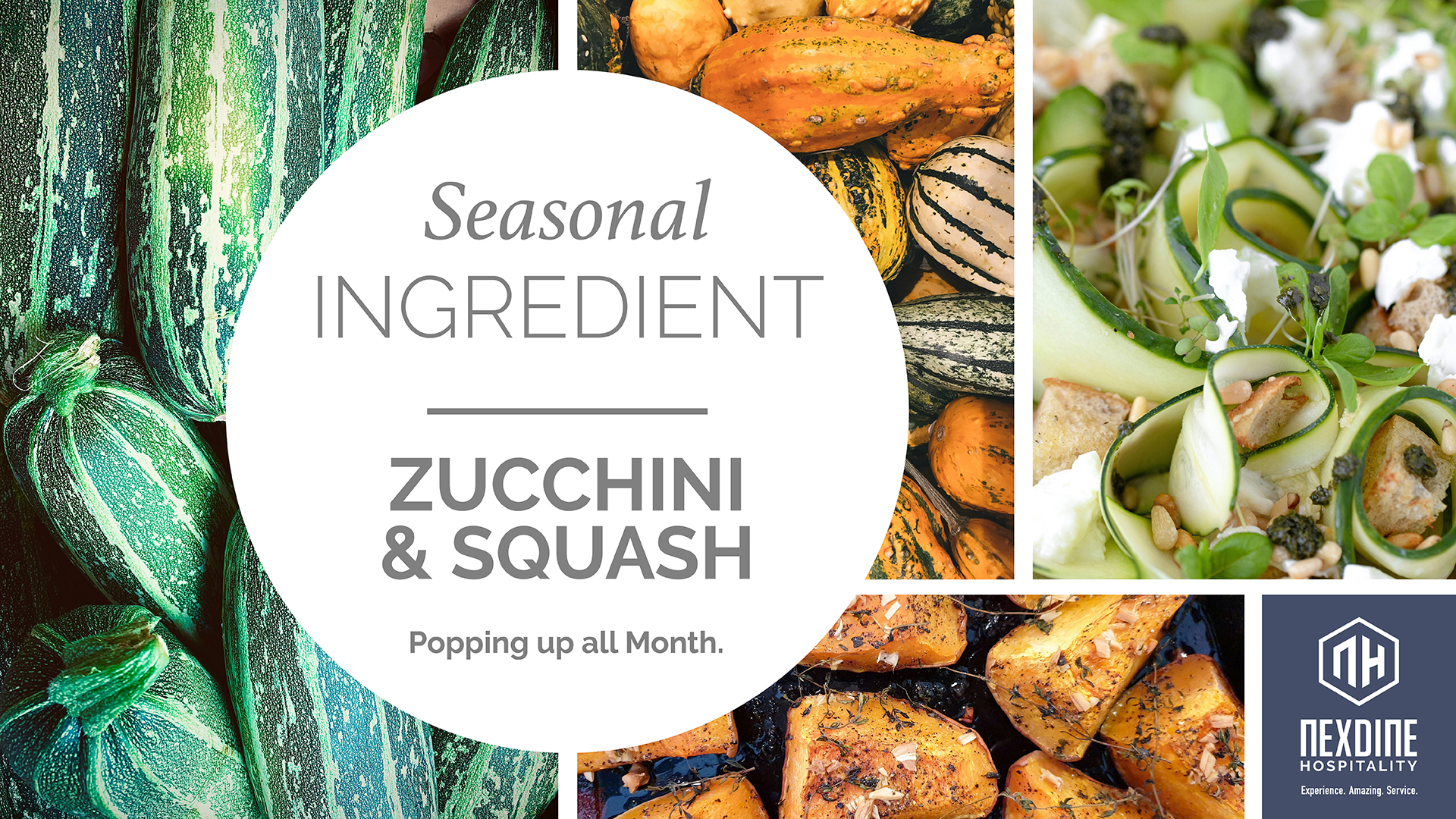 https://hbre.nexdine.com/images/uploads/SI-Seasonal-Ingredient-DigitalScreen-HORZ_AUG_ZucchiniSquash.jpg