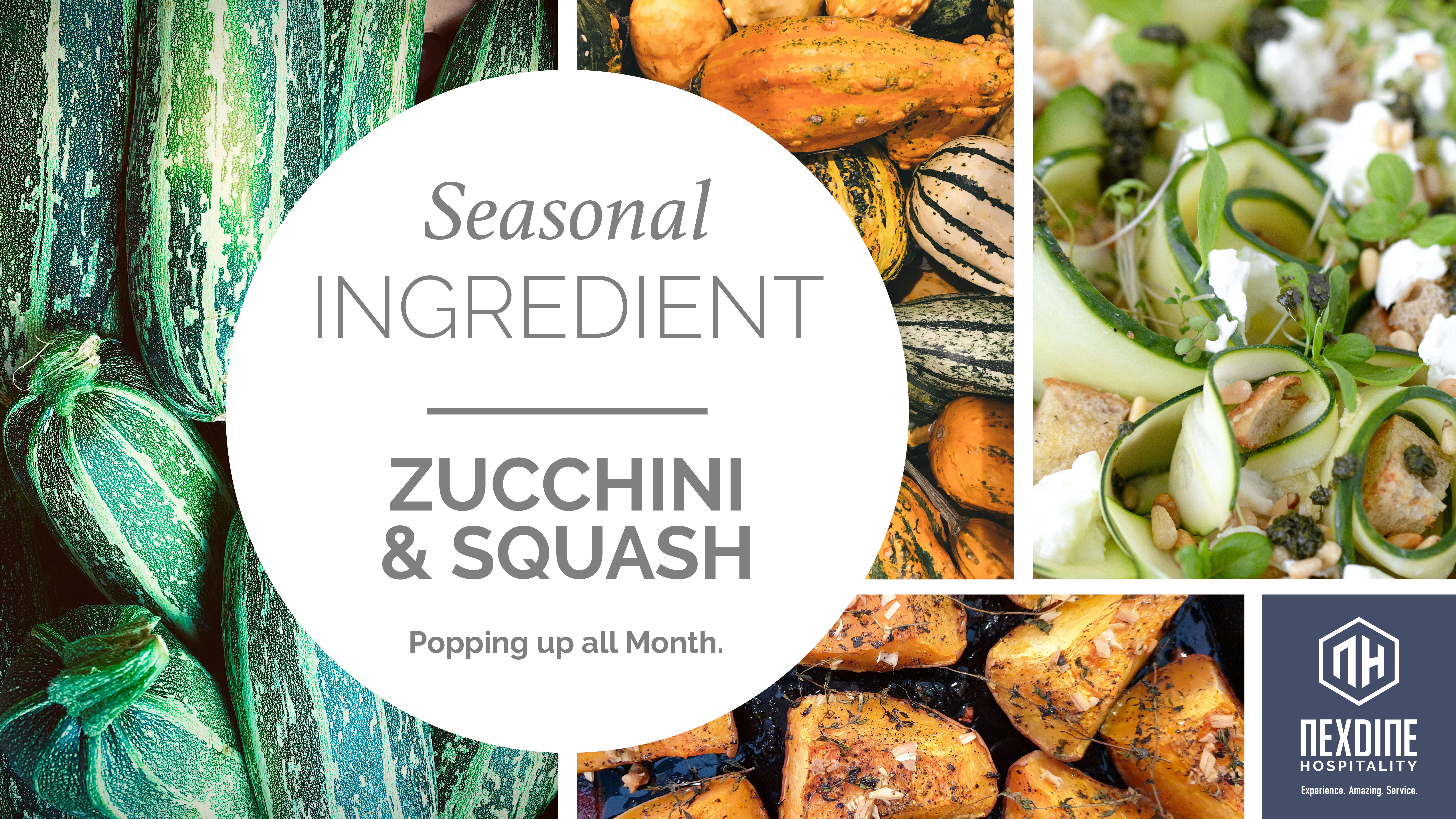 https://hbre.nexdine.com/images/uploads/SI-Seasonal-Ingredient-DigitalScreen-HORZ_JUNE_ZucchiniSquash.jpg