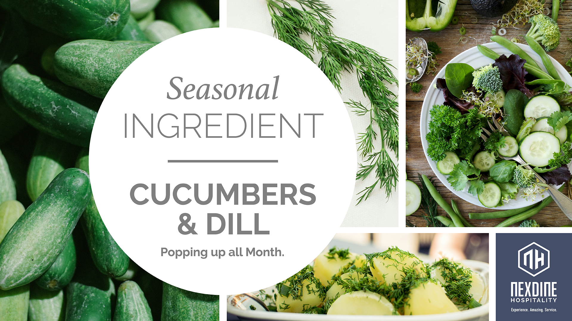 https://hbre.nexdine.com/images/uploads/SI-Seasonal-Ingredient-DigitalScreen_HORZ_JULY-Cucumber-Dill.jpg