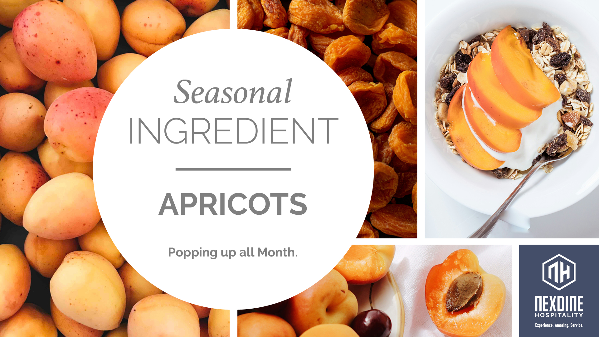 https://hbre.nexdine.com/images/uploads/SI-Seasonal-Ingredient-DigitalScreen_JUNE_HORZ_Apricots.jpg